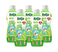 KATO x Care Bear Melon Fruit Juice with Nata De Coco 320ml x 5 Bottles - Halal