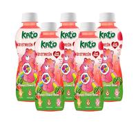 KATO x Care Bear Watermelon Fruit Juice with Nata De Coco 320ml x 5 Bottles - Halal