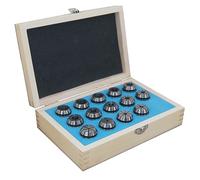 KATSU ER25 Spring Collet Set 14 Pieces 3-16mm Gripping Range Precision Router Collet Chuck for CNC Workholding Engraving Machine and Milling Lathe Tool 11028279