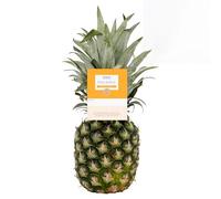Katsy Style Fresh Whole Pineapple - Juicy and Sweet, High in Vitamin C, Healthy Snack, Naturally Low in Fat and Sugar