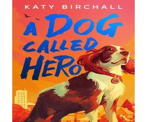 Katy Birchall A Dog Called Hero Paperback Book Katy Birchall Multicolor
