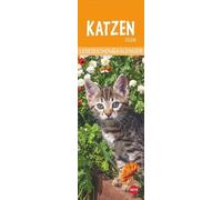 Katzen Lesezeichen & Kalender 2026: Süße Kätzchen in einem Mini-Kalender. Perfekt als kleine Aufmerksamkeit zu Weihnachten. Das Mitbringsel für Katzenfans und Bücherwürmer!