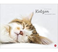 Katzenkalender 2024. Wandkalender mit 12 traumhaft schönen Fotos der renommierten Fotografin Monika Wegler. Tierkalender 2024. Querformat 44x34 cm.