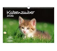 Katzenzauber DIN A3 Calendar for 2026 Cats and Cats Seelenzauber