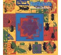 Kava Kava - You Can Live Here