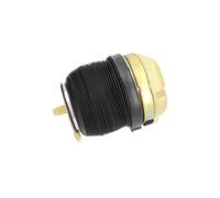 KAVO PARTS SAS-10009 Air Spring, suspension