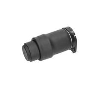 KAVO PARTS SAS-10021 Air Spring, suspension