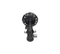 KAVO PARTS SSA-10101 Shock absorber