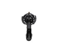 KAVO PARTS SSA-10173 Shock absorber
