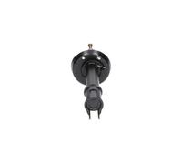 KAVO PARTS SSA-10192 Shock absorber
