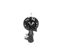 KAVO PARTS SSA-10408 Shock absorber