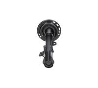 KAVO PARTS SSA-10648 Shock absorber