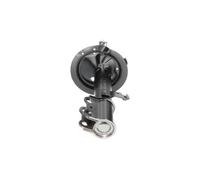 Shock absorber Front Axle Right Top pin SSA-9059 KAVO PARTS for TOYOTA