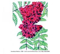 Kawabata Makoto - Astro Love & Infinite Kisses [VINYL]