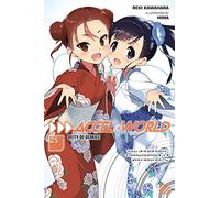 Kawahara, Reki - Accel World, Vol. 25 (light novel): Deity of Demise (ACCEL WORLD LIGHT NOVEL SC)