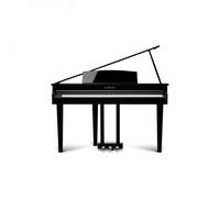 Kawai DG30 Digital Piano Polished Ebony