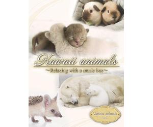 Kawaii animals～Relaxing with a music box～Various animals vol.1