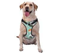 Kawaii Sushi Pattern Dog Harness - Lightweight,Soft,Adjustable Small Harness and Leash Set, Suitable for Puppy Small and Medium-Sized Dog-Large