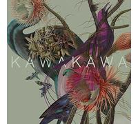 Kawakawa - Island Species
