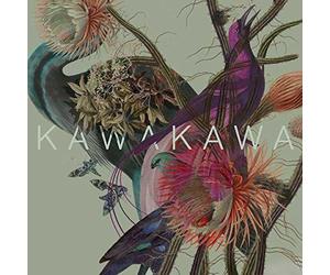 Kawakawa - Island Species