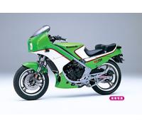 Kawasaki Kr250 (KR250A) Motorcycle 1:12 Plastic Model Kit HASEGAWA