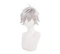 Kaworu Nagisa Cosplay Wig Short Gray Heat Resistant Synthetic Fake Hair Halloween Party Carnival Anime Wigs