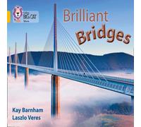 Kay Barnham Brilliant Bridges Book Kay Barnham Multicolor