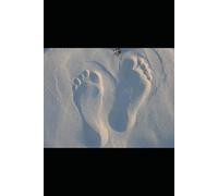 Kaya Sutra: Kaya Sutra Ancient herbs for Modern Illness Shweta Jha