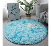 KAYBTNT Round Rug, Fluffy Shaggy Aesthetic Circle Rug, Plush Washable Non-Slip Soft Area Circular Fuzzy Rugs, Cute Carpet for Kids Baby Nursery Girls Living Room Bedroom Home,Sky Blue,80cm/32inch