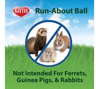 Kaytee , Run About Ball, Clear Coloured, Exercise Ball and Toys for Hamsters, Gerbils and Other Small Animals, 17.8 cm Diameter