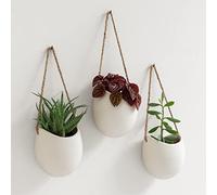 Kazai. Wall Planters -Ellie- | Hanging Ceramic Plant Pots, 3 Pieces, for Succulents and more | Wall Decoration for Indoors, Balcony and Garden | Cream (matte)