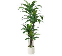 Kazeila Artificial Dracaena Plant 180cm Fake Tall Tree with White Planter,Faux Dragon Tree Plant Indoor Floor Porch Home Decor Office Living Room(1Pack)