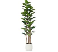 Kazeila Artificial Fiddle Leaf Fig Tree with White Planter, 6ft Tall Fake Tree with Natural Wood Trunk for Home Decor, Faux Ficus Tree Fake Moss for Indoor Office Living Room,1Pcs
