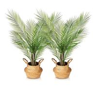 Kazeila Artificial Palm Trees - 80cm Tall, Seagrass Basket, Decorative Indoor Plants (2 Pack)