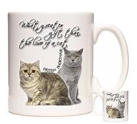 KAZMUGZ British Shorthair CAT Mug, Mug. Dishwasher and Microwave Safe. What Greater Gift Than The Love of A Cat