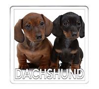 KAZMUGZ DACSCHUND DOG DRINKS COASTER, cute SAUSAGE DOGS on a hardworking drip mat. Matching Sausage Dog Gifts Available. This Can Be Personalised