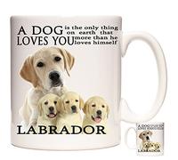 KAZMUGZ Golden Labrador Mug, A Dog Loves You. Labrador Gift Coffe Mug. 11oz Ceramic Mug Gift for Labrador Owners.