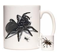 KAZMUGZ Spider Halloween Horror Creepy Crawly Mug. Tarantula and Mouse Spider Pictures on Ceramic Coffee Tea or hot Chocolate Mug.