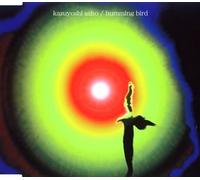 Kazuyoshi Saito - Humming Bird