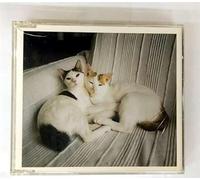 Kazuyoshi Saito - Yawaraka Na Hi