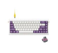 KBDcraft 02Lilith Q 65% 5.5° Ergonomic Keyboard with OEM Keycap, Lego-Compatible Case, Gasket Mount, Wired, RGB, Hot-Swappable, Linear Switch, QMK, Vial for Win/Mac, Full Kit, White (Lilith Q 65%)