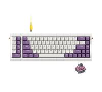 KBDcraft 02Lilith Q 75% 5.5° Ergonomic Keyboard with OEM Keycap, Lego-Compatible Case, Gasket Mount, Wired, RGB, Hot-Swappable, Linear Switch, QMK, Vial for Win/Mac, Full Kit, White (Lilith Q 75%)