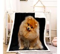 KBDQGX Sherpa Fleece Throw Blankets For Sofas Beds 150X180Cm 100% Polyester Fluffy Comfy Thick Flannel Blanket For Kids/Adults, Golden Puppy Animal Printed Pattern Winter Warm Plush Blanket