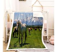 KBDQGX Super Soft Thickened Flannel Couch Blanket Baby Size 70X100Cm Sherpa Fleece Throw Blanket Green Grassland Animal Horse Printed Pattern Fluffy Comfy Warm Microfiber Plush Sofa/Bed Blanket
