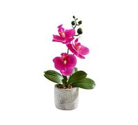 KBOLAE Mini Potted Orchid Flowers Fake Orchids with Plastic Vase for Home Office Wedding Table Centerpiece Decoration Artificial Flowers Artificial Flowers Pot Deep Purple