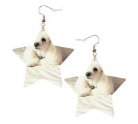 KC Gold Trendy Leather Star Earrings for Women - french poodle Print Dangle Jewelry, Lightweight Fashion Accessory