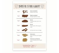 KCDFDVJFBM Body Signals Educational Chart - A Friendly Guide to Digestive Wellness, Informative & Discreet Wall-Art for Bathroom, Clinic, or Health Class(Unframed,08x12inch(20x30cm))