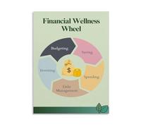 KCDFDVJFBM Budget Wheel Financial Assessment Tool Canvas Print for Money Management Home Office Decor(Framed,16x24inch(40x60cm))