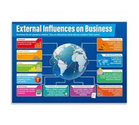 KCDFDVJFBM Business Studies Poster External Influences on Business Educational Wall Chart for High School College Classroom Economics Teaching Resources Decor(Framed,08x12inch(20x30cm))