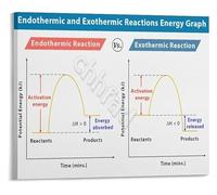 KCDFDVJFBM Chemical Reactions Poster Comparing Endothermic and Exothermic Processes Science Educational Wall Chart for Students(Unframed,12x18inch(30x45cm))